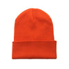 New Winter Hat for Woman New Beanies Knitted Fluorescent  Warmer Bonnet Ladies Casual Cap | TINMICO - TINMICO