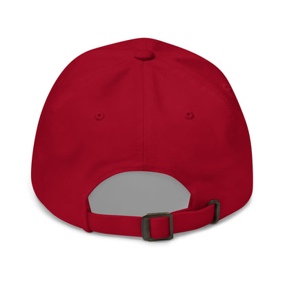 America First Hat (Embroidered Cotton Dad Cap) USA Patriot, July 4th Pride, Made in USA - TINMICO