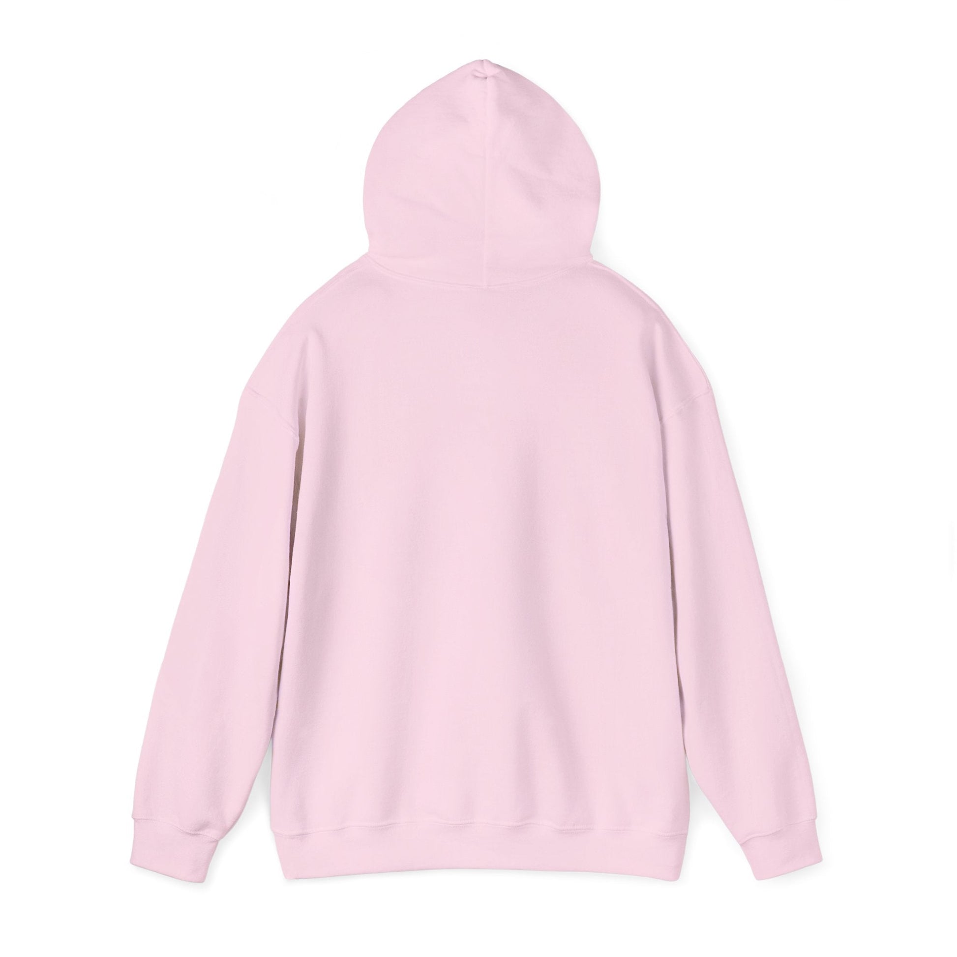 Coffee and Cat Lover Unisex Hoodie Sweatshirt - TINMICO