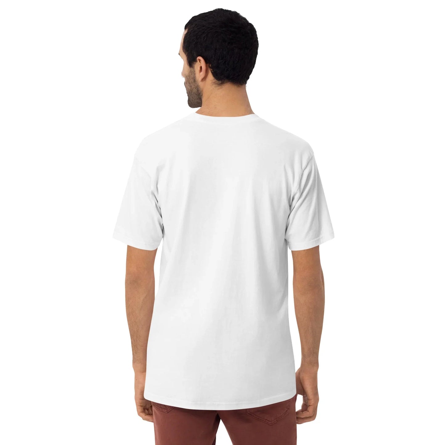 Dad You Are My Hero Men’s premium Tee , Family Appreciation Top, Birthday Present Tshirt, Papa Love Apparel, Dad Life - TINMICO