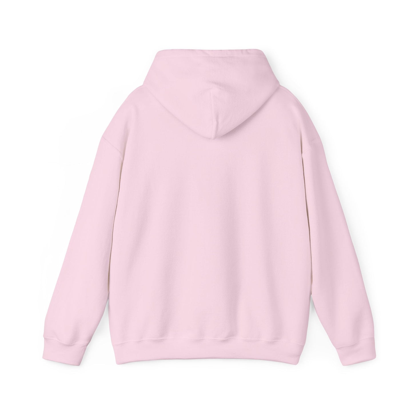 Motivational Hoodie - Never Give Up Unisex Sweatshirt, Cozy Gift, Inspirational Apparel, Everyday Wear, Fitness Motivation - TINMICO