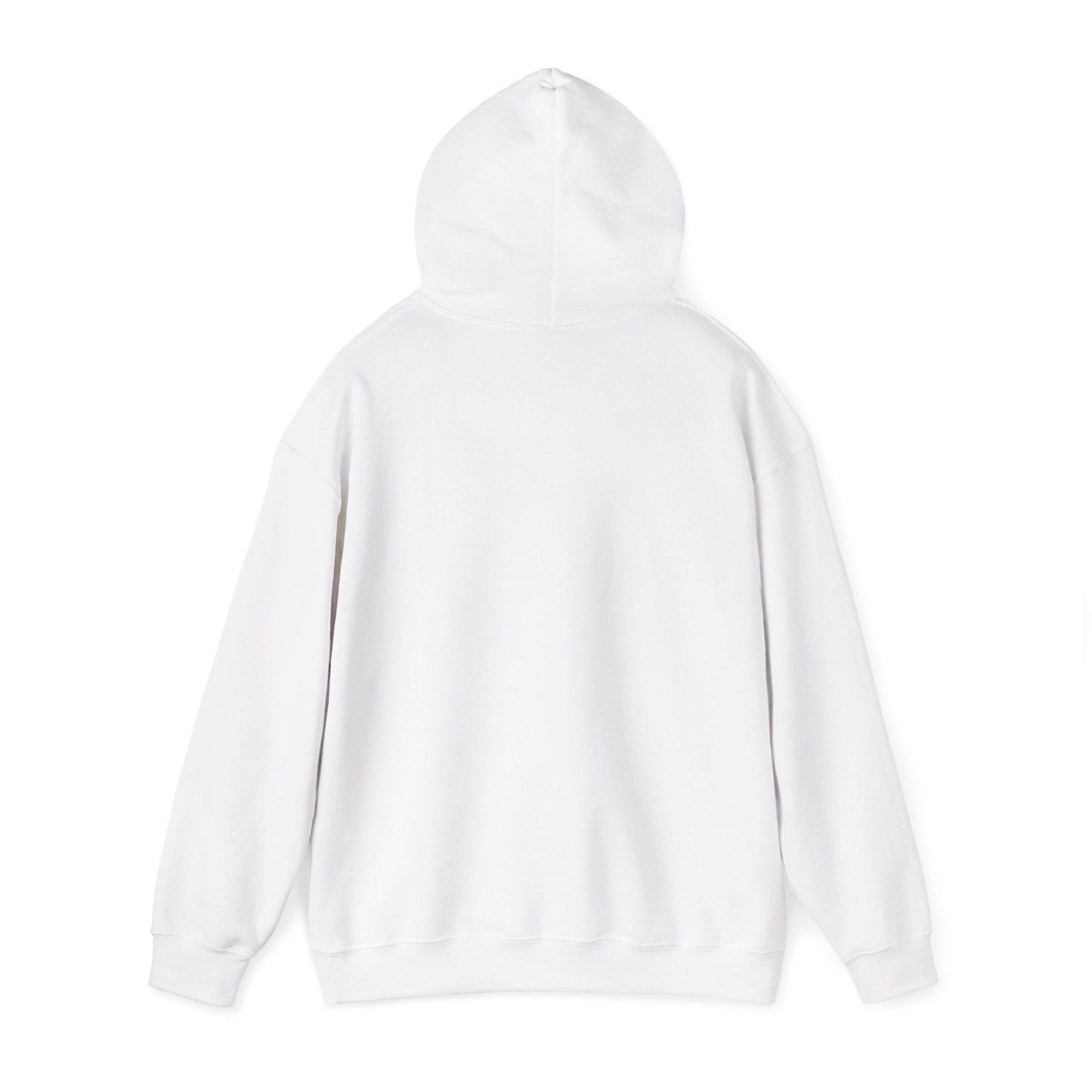 Never Give Up Motivational Hoodie | Unisex Hooded Sweatshirt for Everyday Wear, Cozy Gift, Inspirational Apparel, Positive Quotes - TINMICO