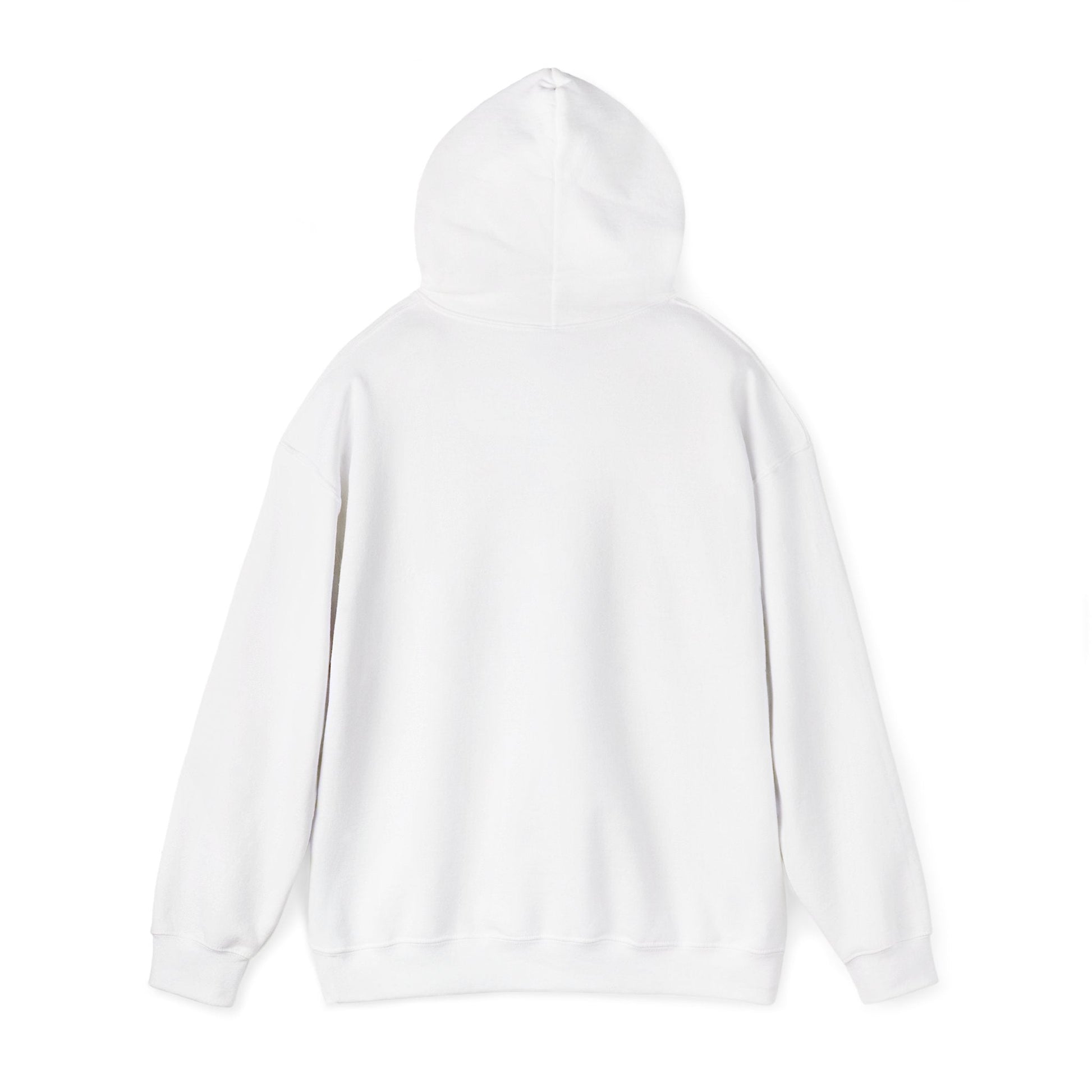 Never Give Up Motivational Hoodie | Unisex Hooded Sweatshirt for Everyday Wear, Cozy Gift, Inspirational Apparel, Positive Quotes - TINMICO