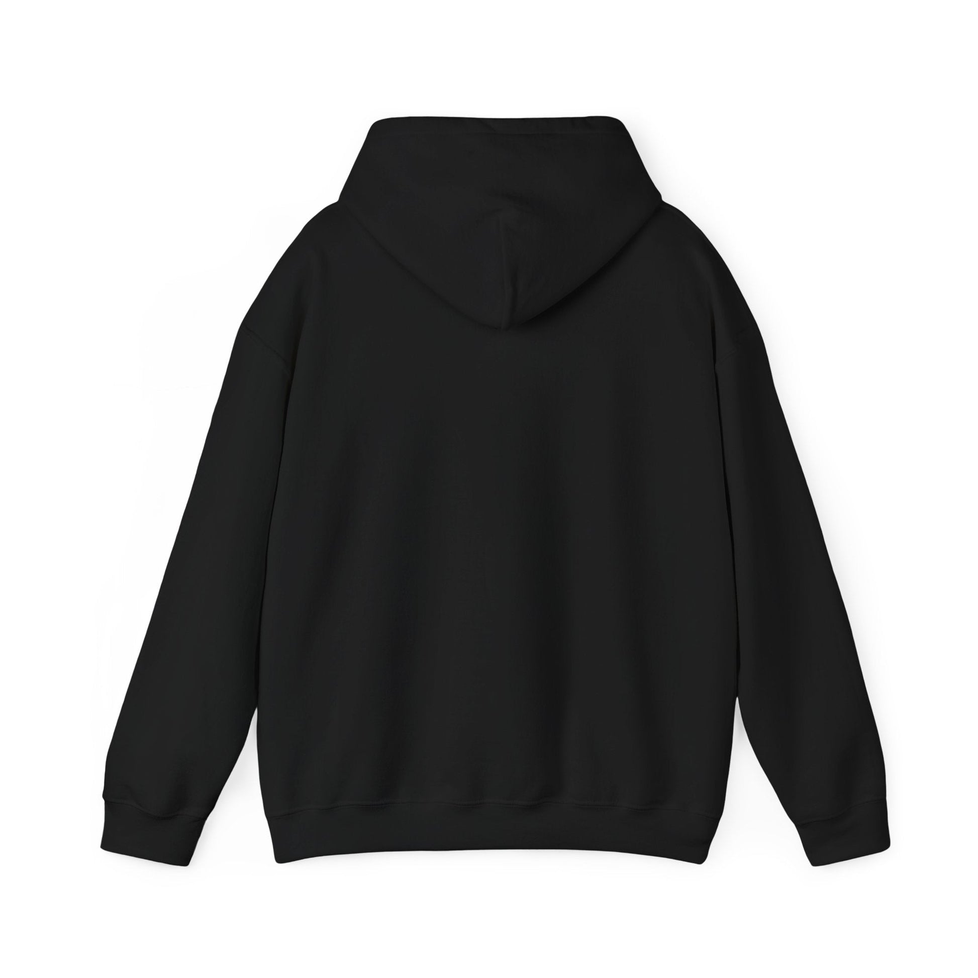 Never Give Up Motivational Hoodie | Unisex Hooded Sweatshirt for Everyday Wear, Cozy Gift, Inspirational Apparel, Positive Quotes - TINMICO