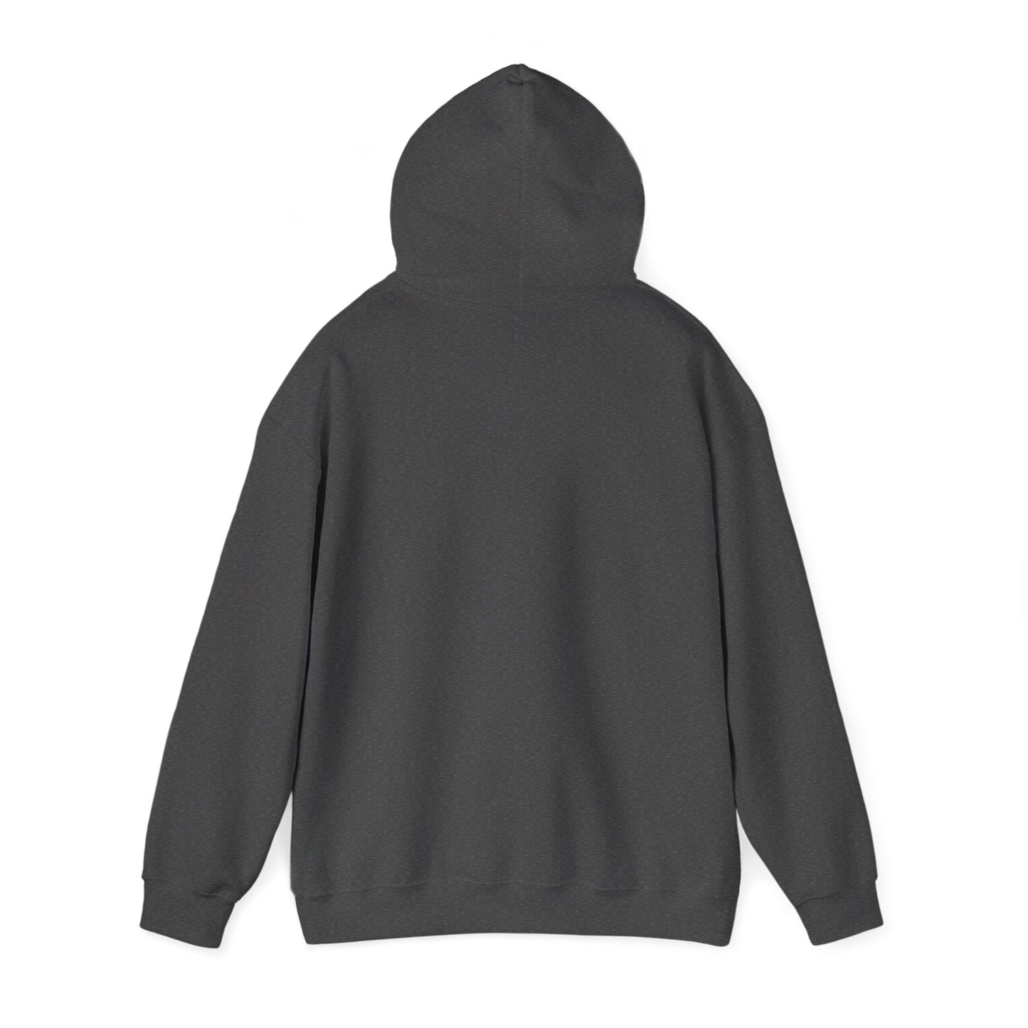 Never Give Up Motivational Hoodie | Unisex Hooded Sweatshirt for Everyday Wear, Cozy Gift, Inspirational Apparel, Positive Quotes - TINMICO