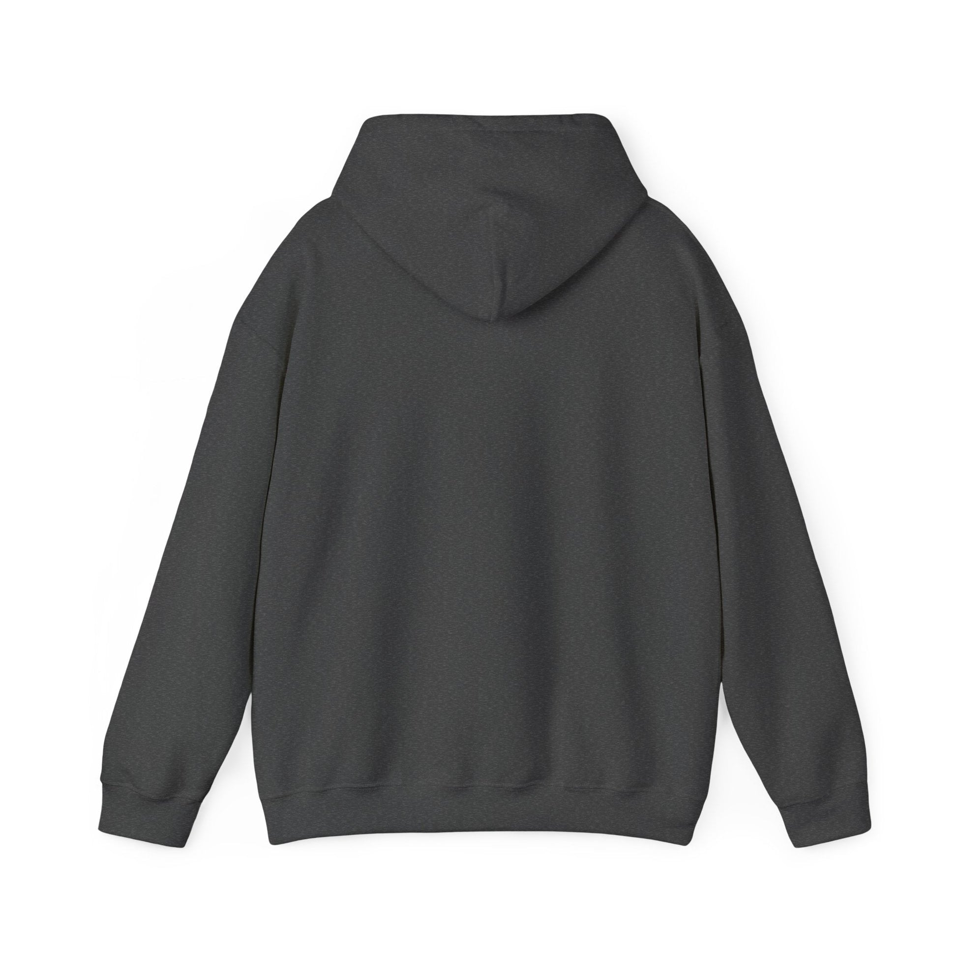 Never Give Up Motivational Hoodie | Unisex Hooded Sweatshirt for Everyday Wear, Cozy Gift, Inspirational Apparel, Positive Quotes - TINMICO