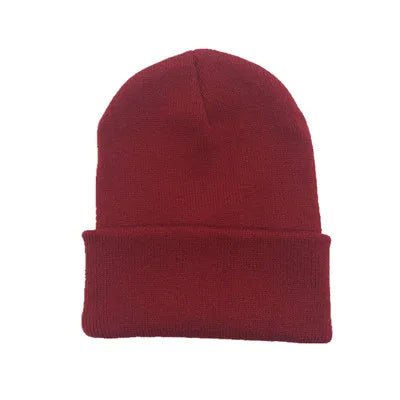 New Winter Hat for Woman New Beanies Knitted Fluorescent Warmer Bonnet Ladies Casual Cap | TINMICO - TINMICO