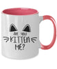 Are You Kitten Me Right Two Tone 10oz Mug tinmico