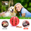 Pet Dog Toy Interactive Rubber Balls for Small Large Dogs Puppy Cat Chewing Toys Pet Tooth Cleaning Indestructible Dog Food Ball tinmico